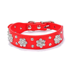 Led Perro Bling Crystal