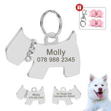 Load image into Gallery viewer, Personalized Dog ID Tag Dog Stainless Steel Anti-lost