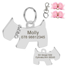 Load image into Gallery viewer, Personalized Dog ID Tag Dog Stainless Steel Anti-lost