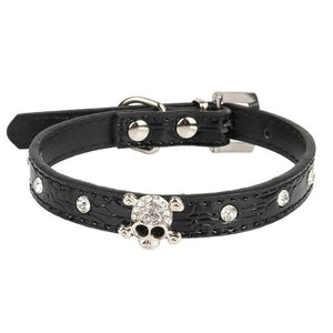 Crystal Skull Dogs Collars