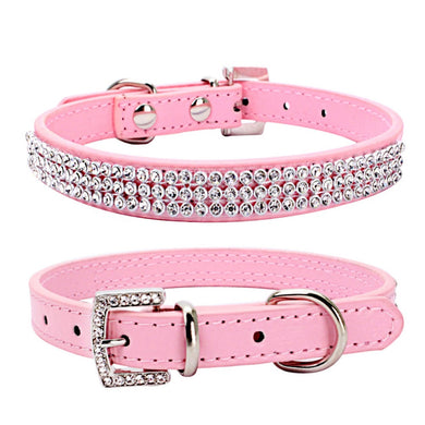 Dog Collar Leash