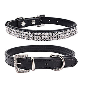 Dog Collar Leash