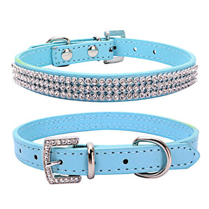 Dog Collar Leash