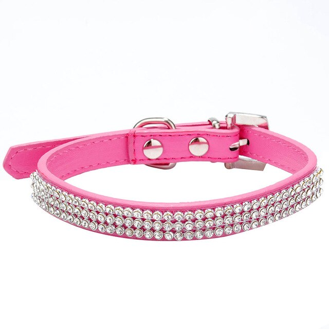 Dog Collar Leash