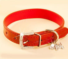 Load image into Gallery viewer, Snake Skin Leather Dog Collar Leash