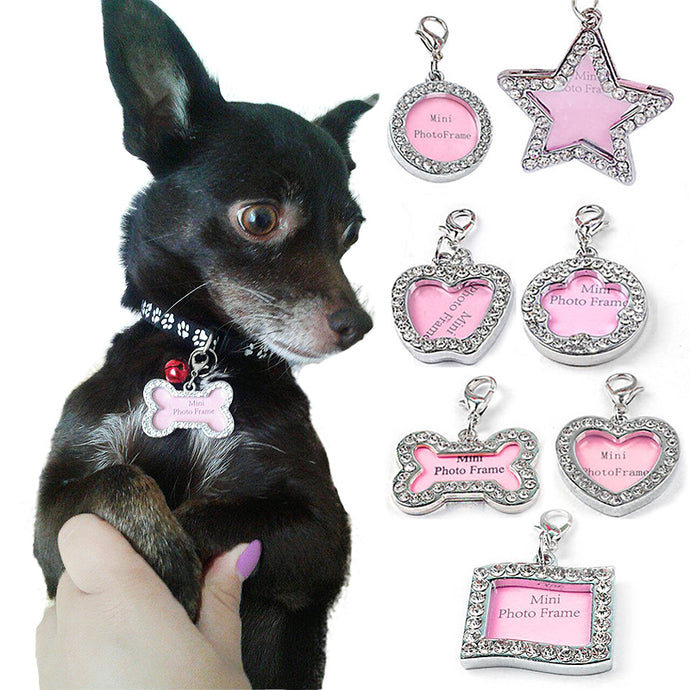 Anti Lost  Pet Dog  Silver Information Board Crystal  ID Tag