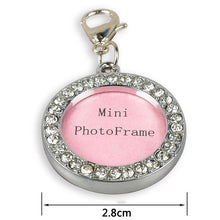 Load image into Gallery viewer, Anti Lost  Pet Dog  Silver Information Board Crystal  ID Tag