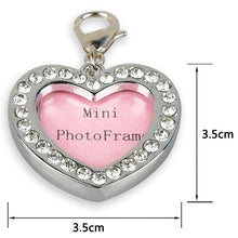 Load image into Gallery viewer, Anti Lost  Pet Dog  Silver Information Board Crystal  ID Tag