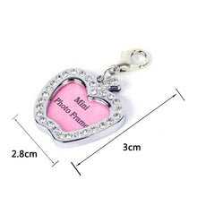 Load image into Gallery viewer, Anti Lost  Pet Dog  Silver Information Board Crystal  ID Tag